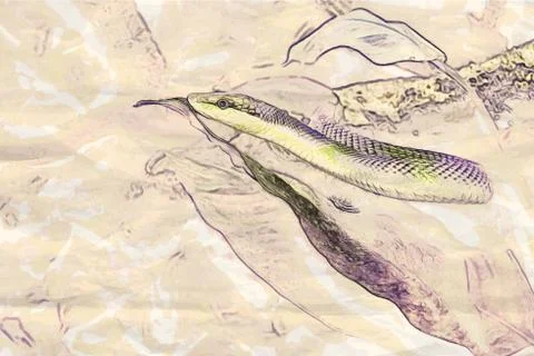 Green snake Stock Illustration