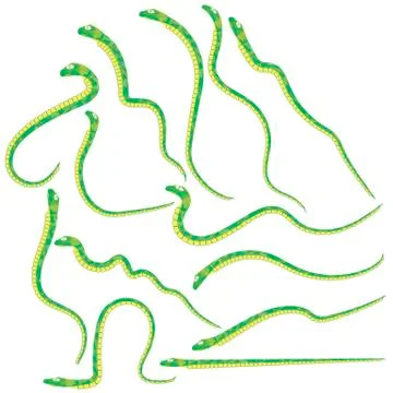 Green Snakes Set Illustration