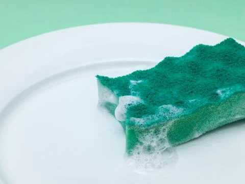 Green Soapy Sponge Resting on White Ceramic Plate Fotos de archivo