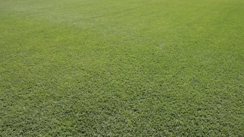 Green Soccer Turf Stock Footage 102805271
