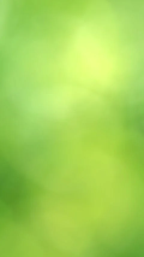 Green soft bokeh light background Stock Footage 262628816