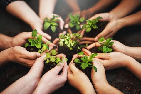 Green is the solution to the worlds pollution. Cropped shot of a group of people Stock Photos