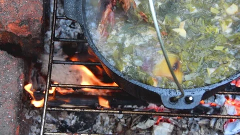 Green Soup in Cauldron Stock Footage 161959424