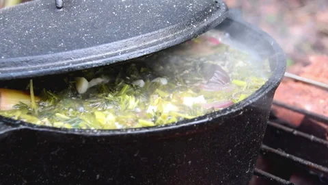Green Soup in Cauldron Stock Footage 161959503