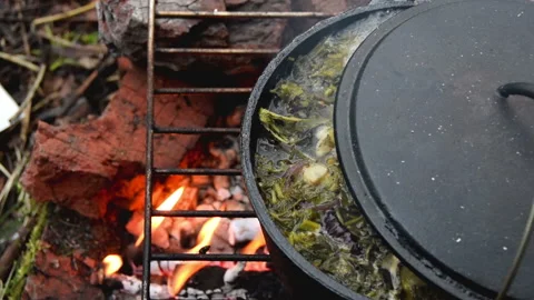 Green Soup in Cauldron Stock Footage 161959542