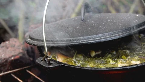 Green Soup in Cauldron Stock Footage 161959547