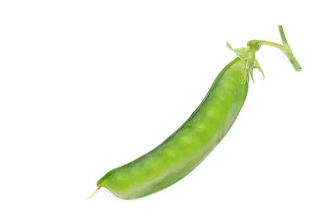 Green soy bean Stock Photos