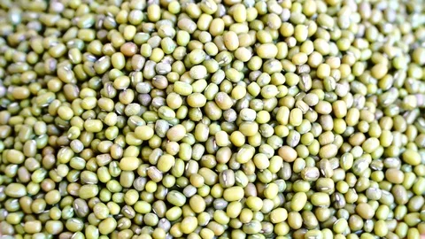 Green soy beans rotation Video stock 108895726