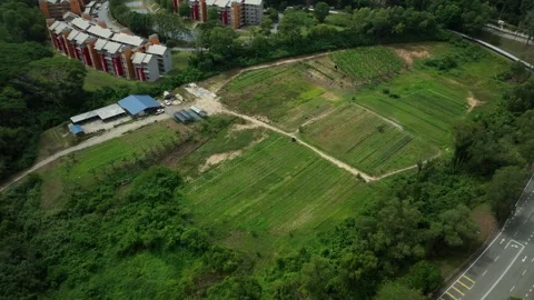Green space development residential area with farmland and nature surrounding Stock Footage 311986782