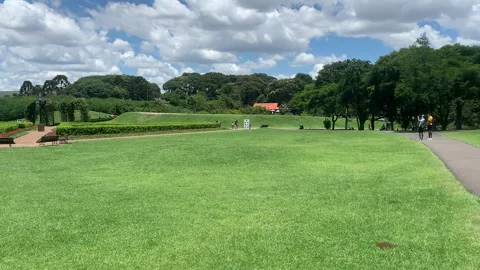 Green space with green grass Stock Footage 263943485