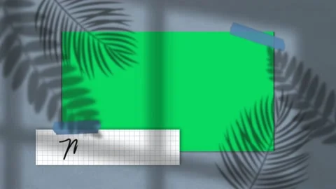 Green space With shadows of leaves Stock Footage 145519135