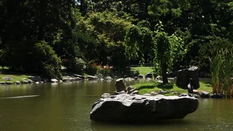Green spaces in Buenos Aires Stock Footage 78043398