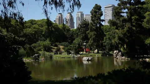 Green spaces in Buenos Aires Video stock 78043482