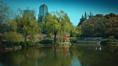 Green spaces in modern cities Stock Footage 319434603
