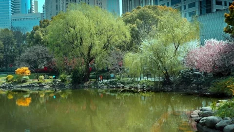 Green spaces in modern cities 動画素材 319434607