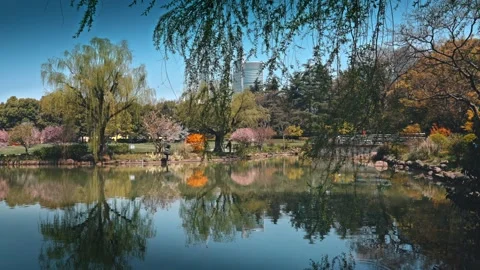 Green spaces in modern cities Stock Footage 319434621