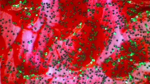 Green Sparkles On Red Vídeos de archivo 169434891