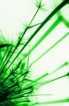 Green sparks Stock Illustration