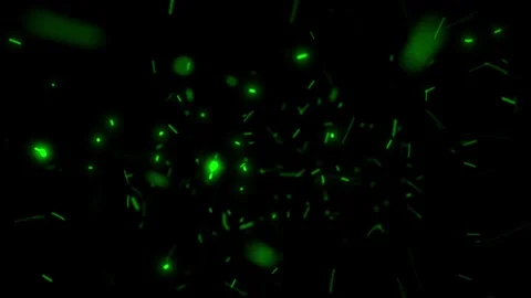 Green sparks or fireflies flying towards camera Stock Footage 321722355