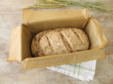 Green spelt bread in baking form Stock Photos