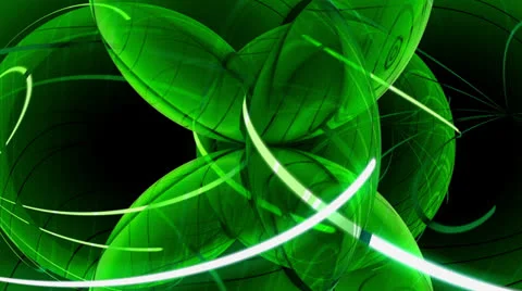 Green spherical leaves Stock Footage 24473871