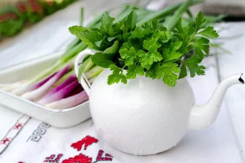 Green spices Stock Photos