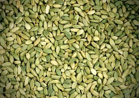 Green spices Stock Photos
