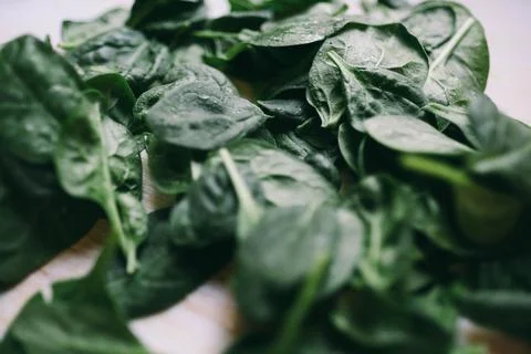 Green spinach close up Stock Photos