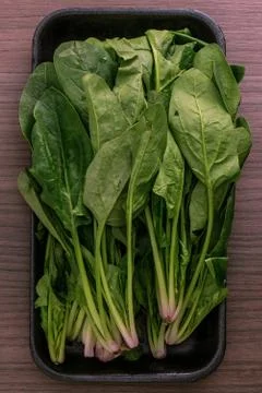 Green spinach Stock Photos