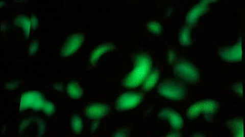 Green Spinning Gobo Stock-Footage 11693290