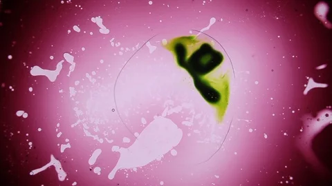 Green splash on red bacground beautiful liquid motion Stock Footage 127723192