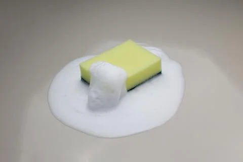 Green sponge back Stock Photos