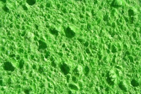 Green sponge background Stock Photos