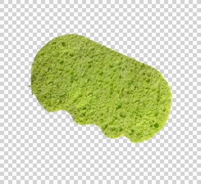 A green sponge isolated Stock Photos