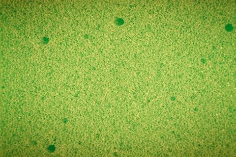 Green sponge made of microfiber material. Texture, background. In Increase 스톡 사진