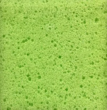 Green sponge surface Stock Photos