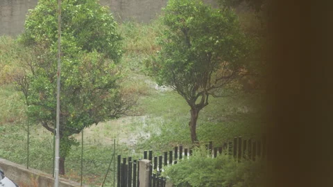 Green Spot In The Town Under The Rain Stock Footage 288893026