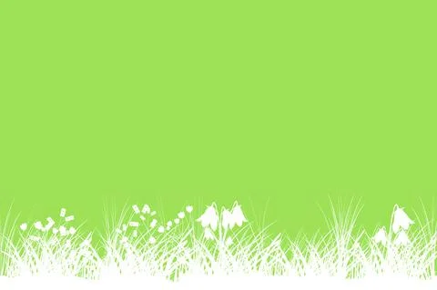 Green spring background with copy space. Summer grass banner with flowers. Stock Illustration