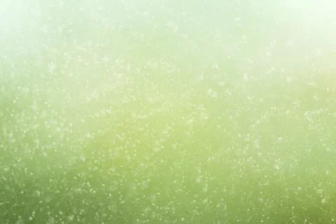 Green spring background Stock Photos