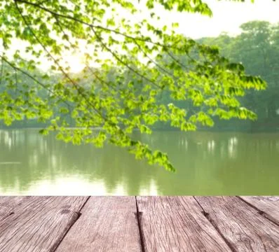 Green spring background Stock Photos