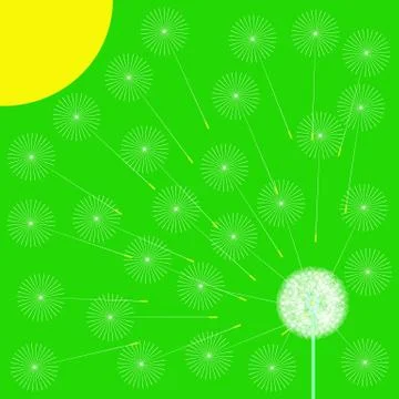 Green spring background with stylized dandelion and sun. Vector Stock Illustration