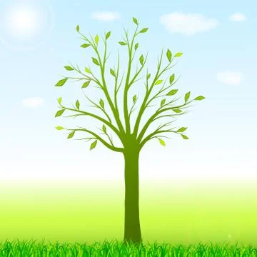 Green spring background with tree and grass Stock Illustration