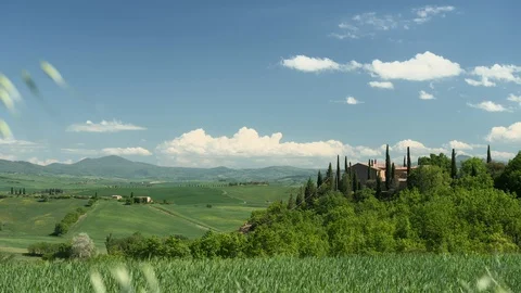Green spring day in the may 1 Stock Footage 130068490