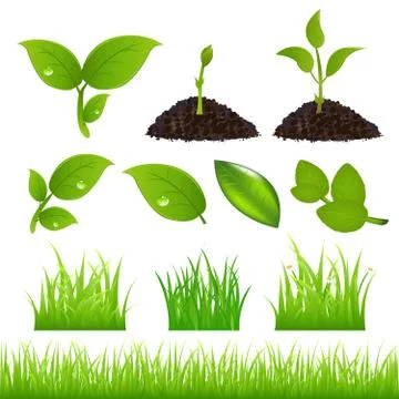Green spring elements set for your design Stock Illustration