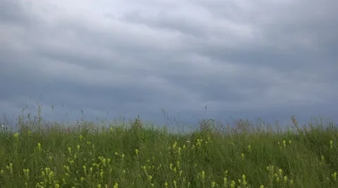 Green spring field and cloudy sky, beautiful scenery 4k Stock Footage 46206640