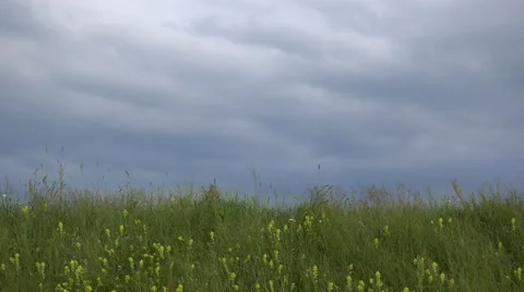 Green spring field and cloudy sky, beautiful scenery  Stock Footage 46207102