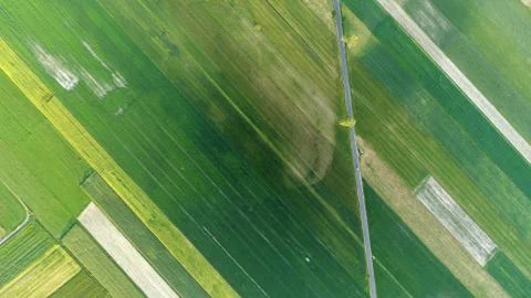 Green spring fields aerial view Stock Photos