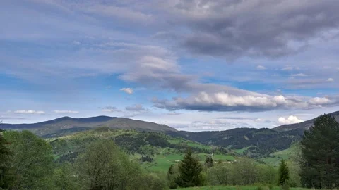 Green spring landscape. Flowering trees in a mixed forest. Clouds form on moving Vidéo 167974681
