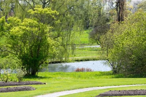 Green spring landscape Stock Photos