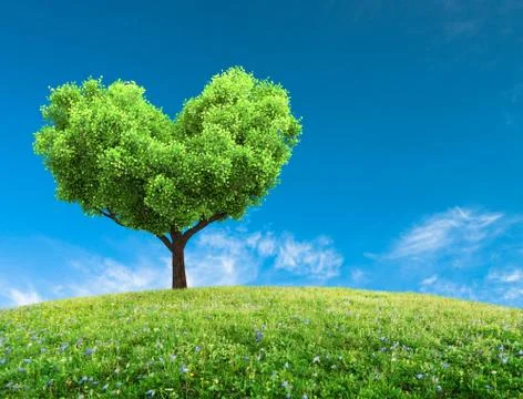 Green spring landscape Stock Photos